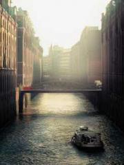 My pets are all amaz