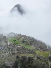 One Night Marriage P