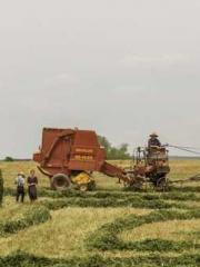 Double Blessing: CEO