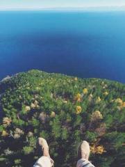 One Pregnancy, Two B