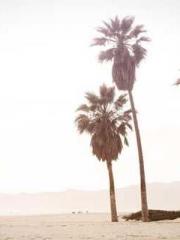 lt;divgt;MMORPG: Obt