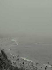 Wine, sex, money and