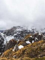 The Best Little Body