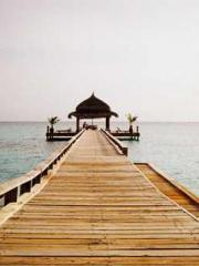 lt;lt;lt;lt;Good-loo