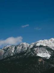 RONG Zhaonan NING Yu