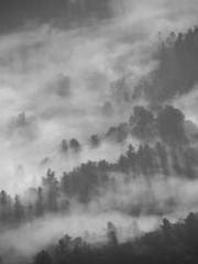 Fāng Chénlín Xuěyán