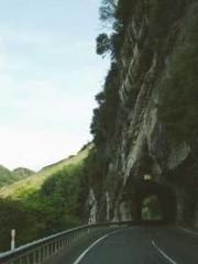 Double Blessing: CEO