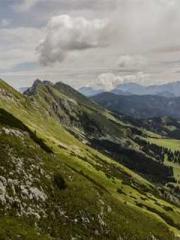 The Imperial Concubi