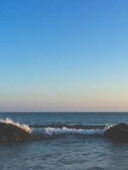 Reborn in 1989: Crea