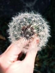 Spoil you in my arms