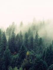 My Amazing Female Te