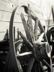 lt;Diga: From Jetton