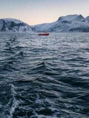 lt;Liang Yimo Cold N