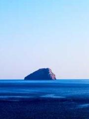 The Beloved Physicia