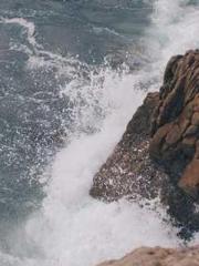 lt;Natural Disasters