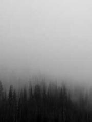 lt;lt;The Trash Husb