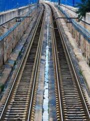 Transmigration: Feel