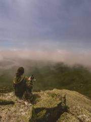 Become a big shot in