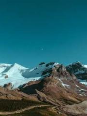 The Imperial Concubi