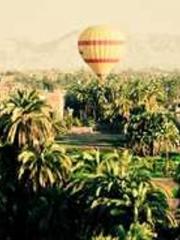 lt;Gingerly, Shen Qi