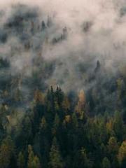 The  Princess  Rebor