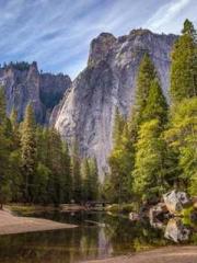 King of Nine Profoun